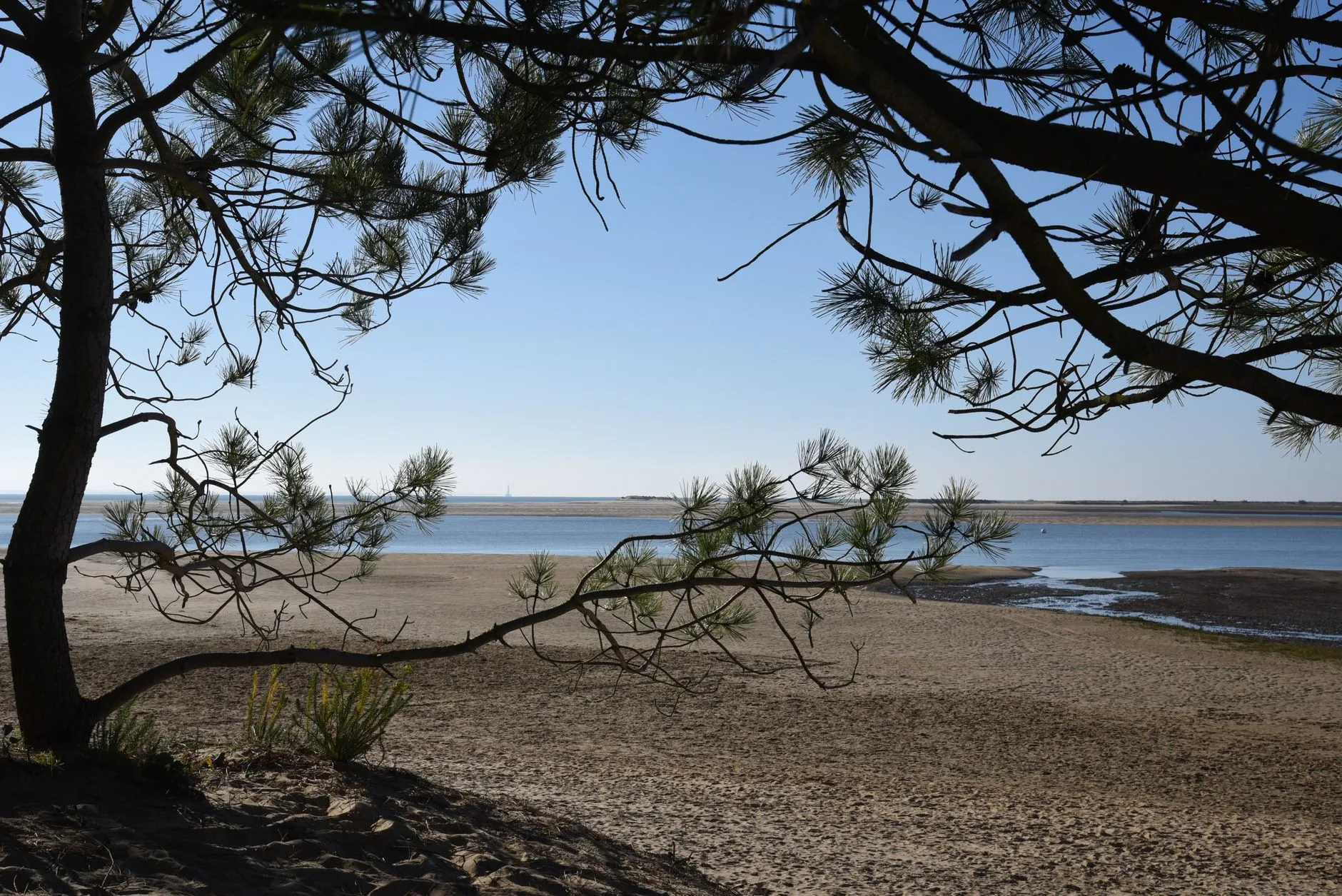 Le Touquet-Paris-Plage : la station chic au milieu des pins